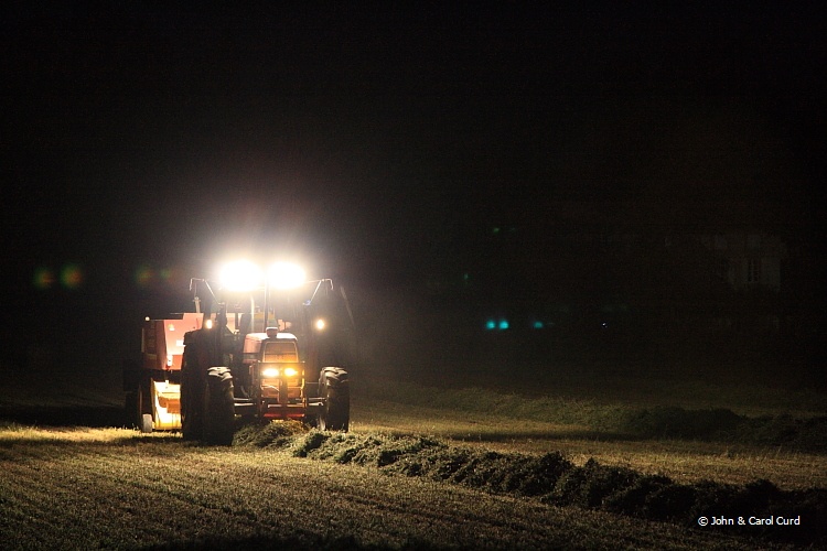 IMG_6599_Night_farming.JPG